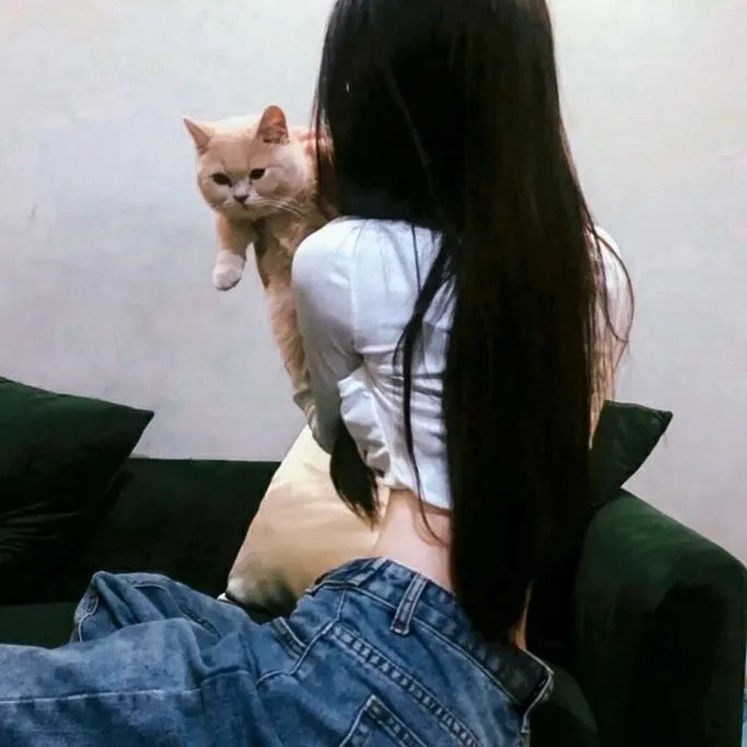 小路之歌