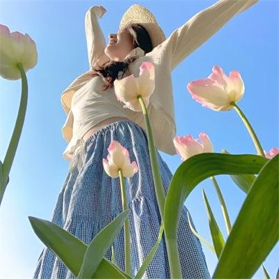 粉红理论