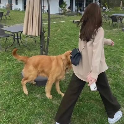 听说很好吃第四季